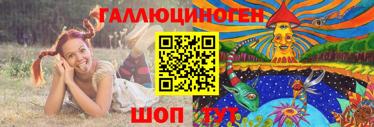 Галлюциногенные грибы мухоморы Камышлов