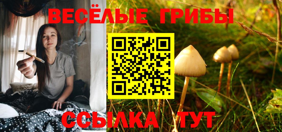 Камышлов  Галлюциногенные грибы прущие грибы  Вход с VPN  Галлюциногенные грибы Magic Shrooms 